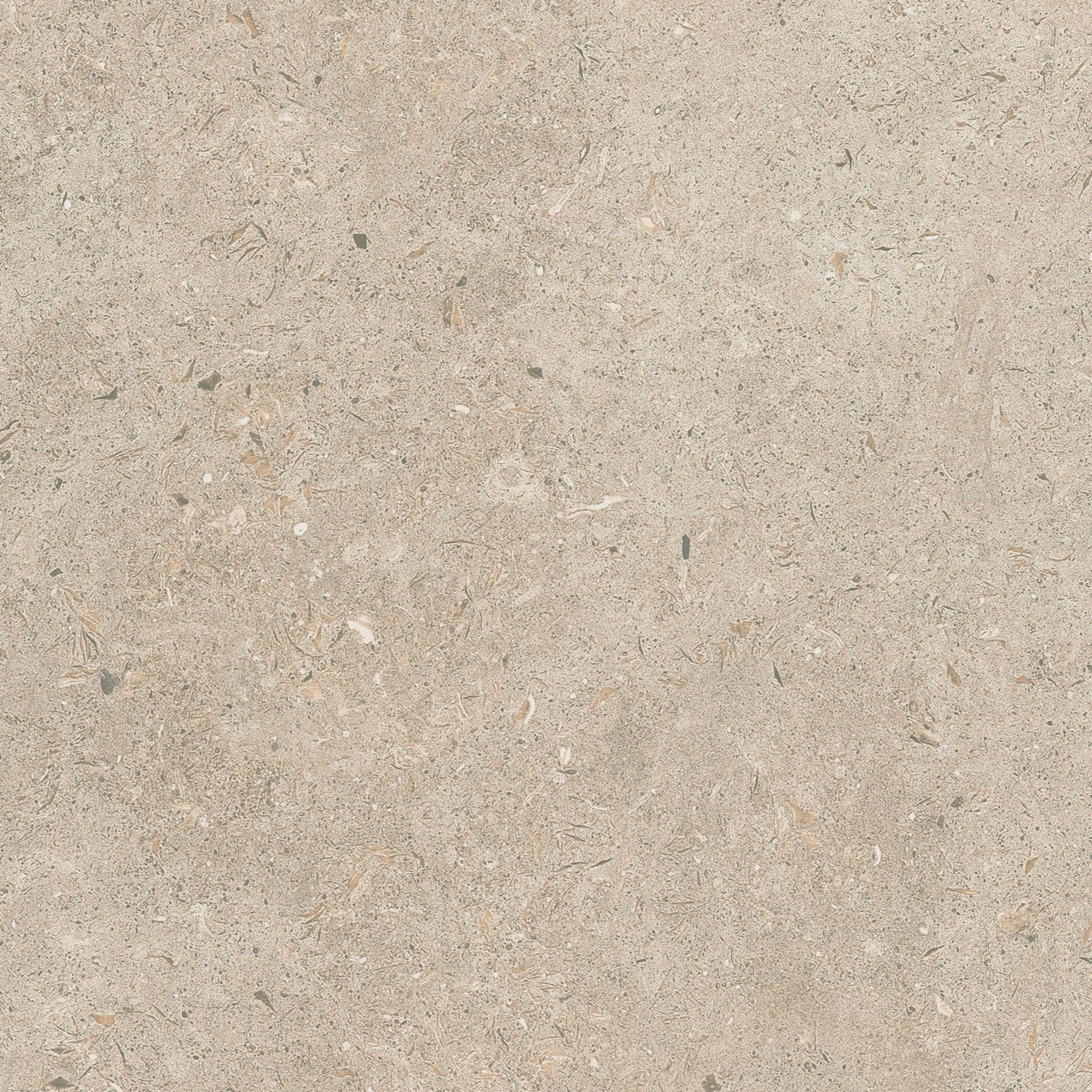 Gotland Kalk Natur Matt Rect. 60x60 CM Klinker - Image 4