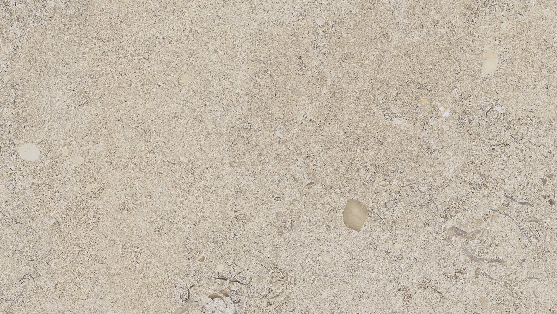 Kalksten Klinker Beige Matt Rect. 30x60 CM Klinker - Image 7