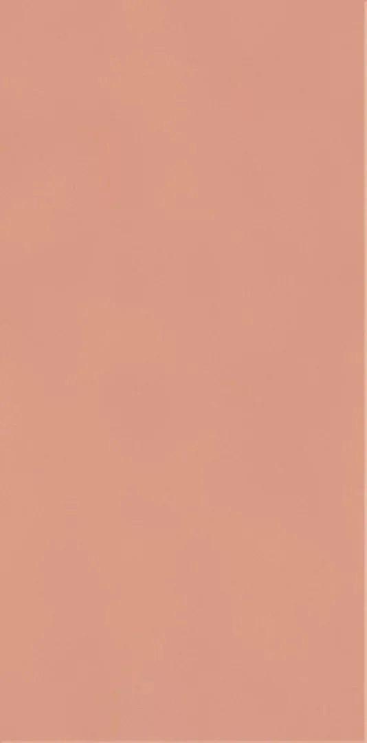 Kreativ Rosa Blank 10x20 CM Kakel - Image 2
